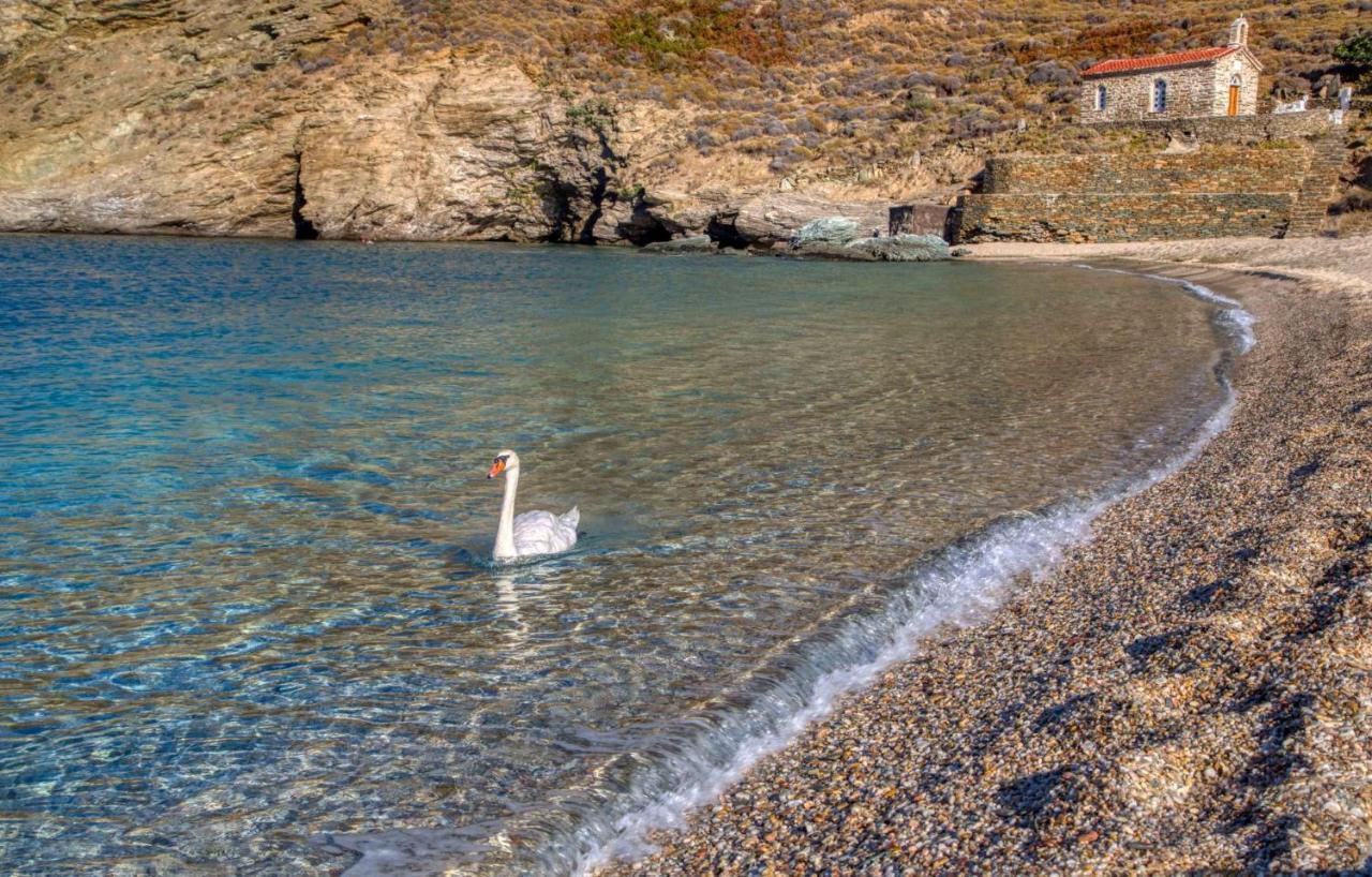 Andros Guesthouses エクステリア 写真