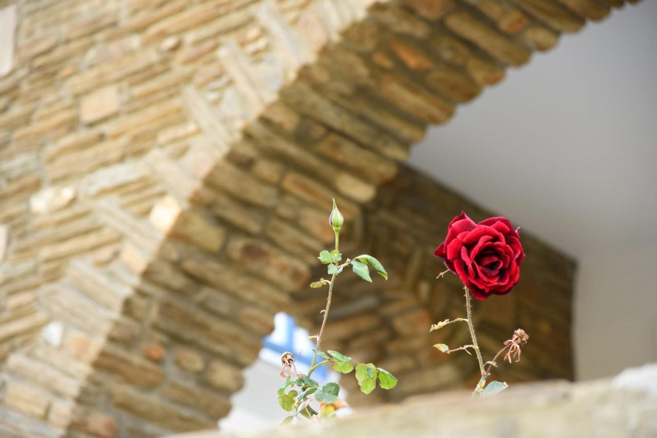 Andros Guesthouses エクステリア 写真